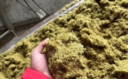 秸秆发酵技术视频如何高效应用？