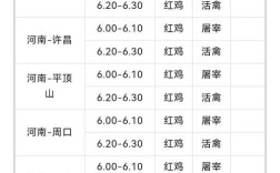 吉林省淘汰鸡今日价格多少？