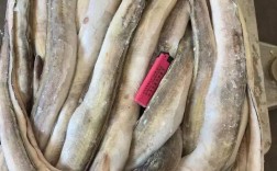 2025年鳗鱼最新价格多少钱一斤？