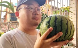 楼顶种西瓜视频，关键技术有哪些？