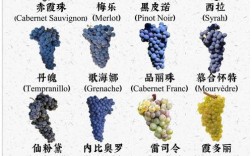 高端葡萄品种有哪些？