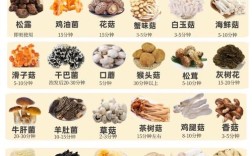 10种食用菌有何特性与功效？