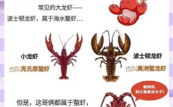 小龙虾人工繁殖技术难点有哪些？