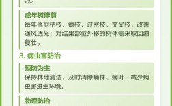 油茶栽培管理有哪些关键技术？