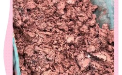 黄鳝网箱育苗技术要点有哪些？