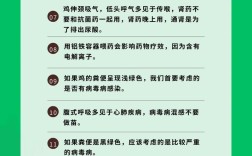 养鸡技术方法大全，哪些要点最关键？