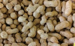 今日河南商丘花生价格多少钱一斤？