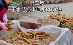 家庭蘑菇栽培视频，技术难点与避坑指南？