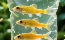 哪些鱼不用喂饵料也能养活？