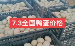 湖北各地鸭蛋价格行情