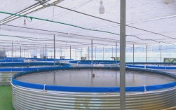 斗门鲈鱼养殖技术视频怎么学？