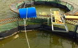 北京水库网箱养殖技术如何高效应用？