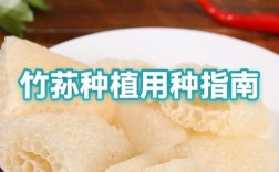 竹荪种植技术视频教程怎么学？