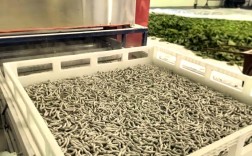 现代养蚕有哪些新技术？