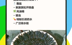 水蛭繁殖技术有哪些关键点？