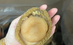 干鲍鱼一斤价格多少？