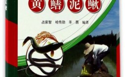 稻田黄鳝泥鳅混养，技术要点有哪些？