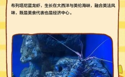 法国蓝龙虾 中国价格