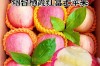 红富士苹果价格多少钱一斤？