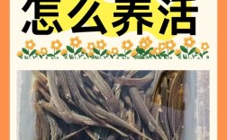 泥鳅黄鳝养殖技术，关键难点在哪？