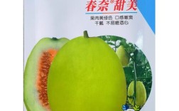 露地种香瓜籽，什么品种好？