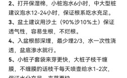 如何选择种植黄精品种