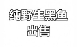 黑鱼最新价格行情如何？
