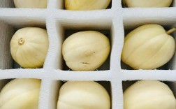 东北香瓜哪个品种最香甜？