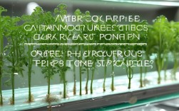 水培植物的扦插技术，水培植物的扦插技术有哪些