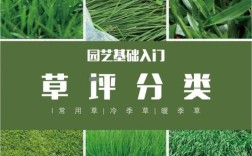 新草品种需经哪些省份审定？