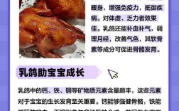 什么品种鸽子营养价值更高？