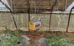 广西大棚养殖马蜂技术难点有哪些？