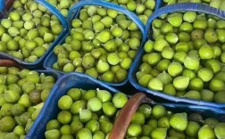 青皮无花果品种知多少？