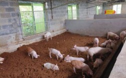 猪舍猪粪发酵视频怎么操作才高效？