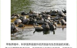 池塘混养甲鱼，关键技术有哪些？