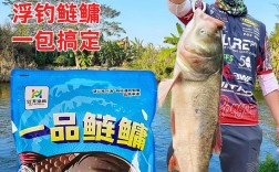 鳙鱼批发价格多少？哪里能买到？