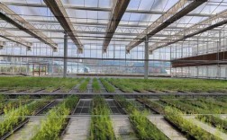 农广天地致富种植技术有哪些？