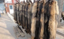 2008年狐狸貉皮价格为何波动？