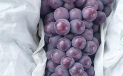 哪些葡萄品种比较好打理？