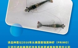 水产新品种有哪些？农业部如何推广？