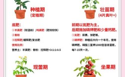 西红柿施肥管理有哪些关键技术要点？