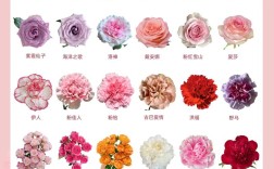 鲜花品种名字及图片，有哪些常见品种？