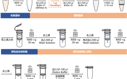 品种提纯有哪些常用方法？
