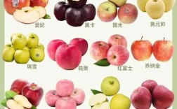 当前哪些水果品种种植效益好？