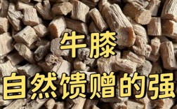 牛膝2025年价格会涨还是跌？