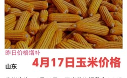 抚顺县今日玉米收购价多少？