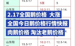 今日毛鸭价格行情如何？
