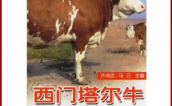 西门塔尔牛养殖技术有哪些关键要点？