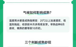 今日开封花生米价格多少钱一斤？