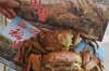 2025盘锦河蟹价格会涨还是跌？